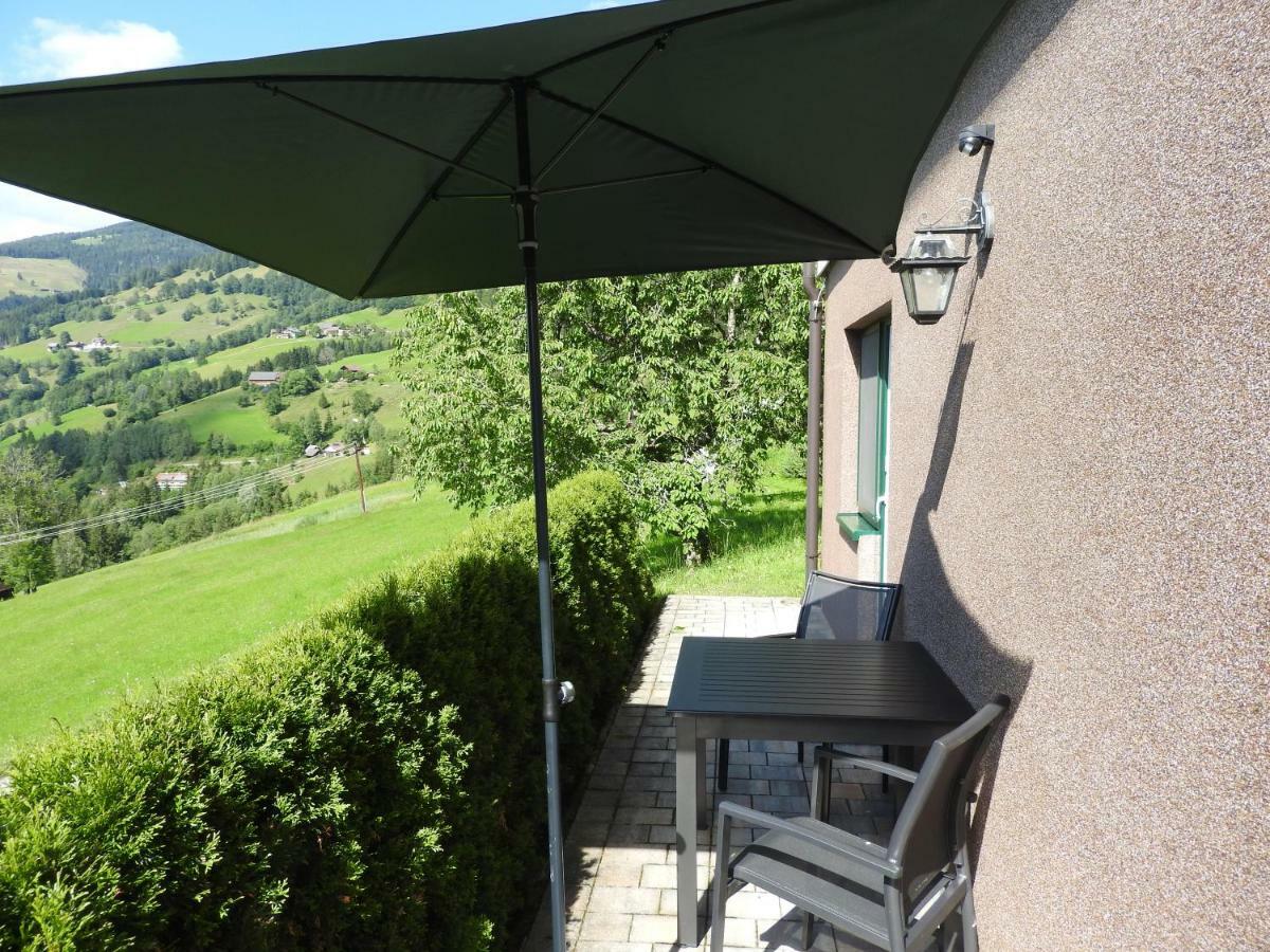 Ertlschweigerhaus Pension - Appartements - Zimmer Donnersbach Εξωτερικό φωτογραφία